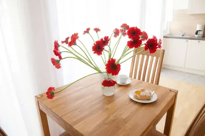 2-Zimmer-Wohnung mieten in Baden – 50 m², € 1.200 – Bild 10 von 10