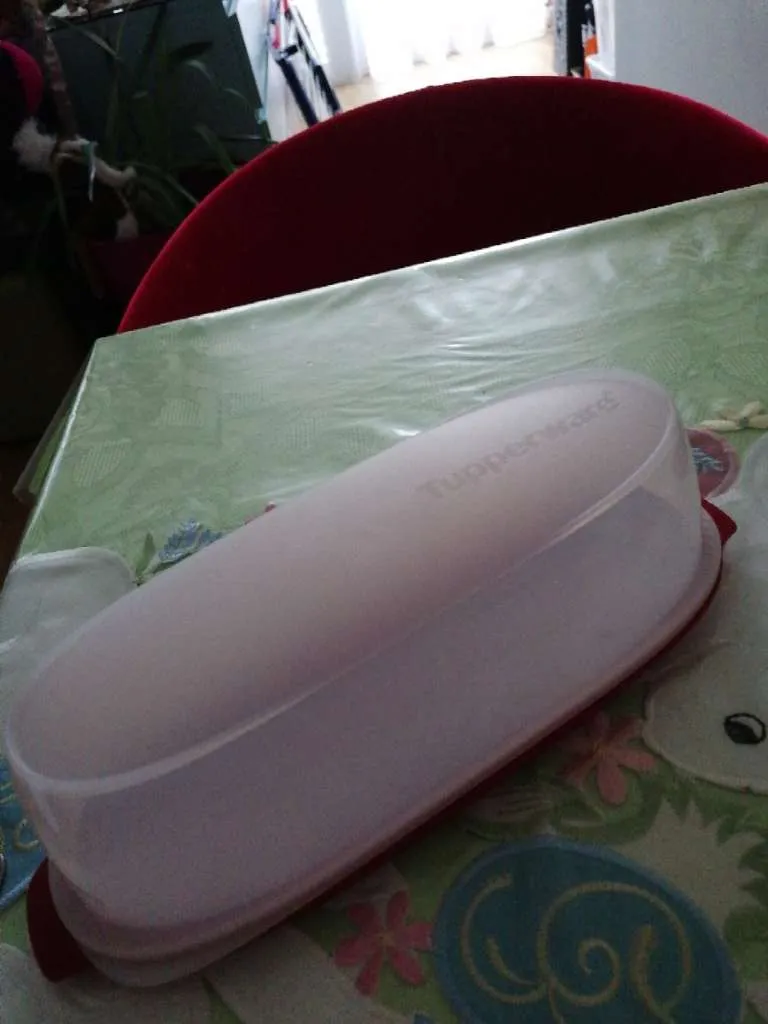 Wurstbox, tupperware, € 10,- (3130 Herzogenburg)