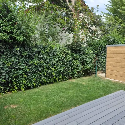 5-Zimmer-Haus kaufen in Graz – 92 m², € 410.000 – Bild 6 von 56