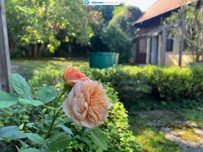 Gewerbeimmobilie kaufen in Tulln – 2 009 m², € 849.000 – Bild 61 von 64