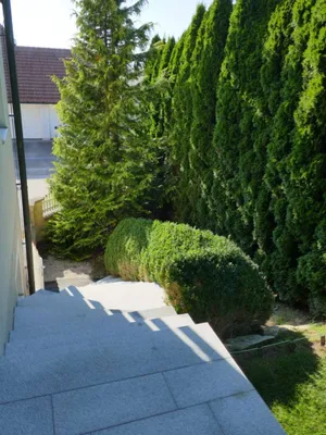 12-Zimmer-Gewerbeimmobilie kaufen in Steyr-Land – 220 m², € 539.000 – Bild 12 von 37