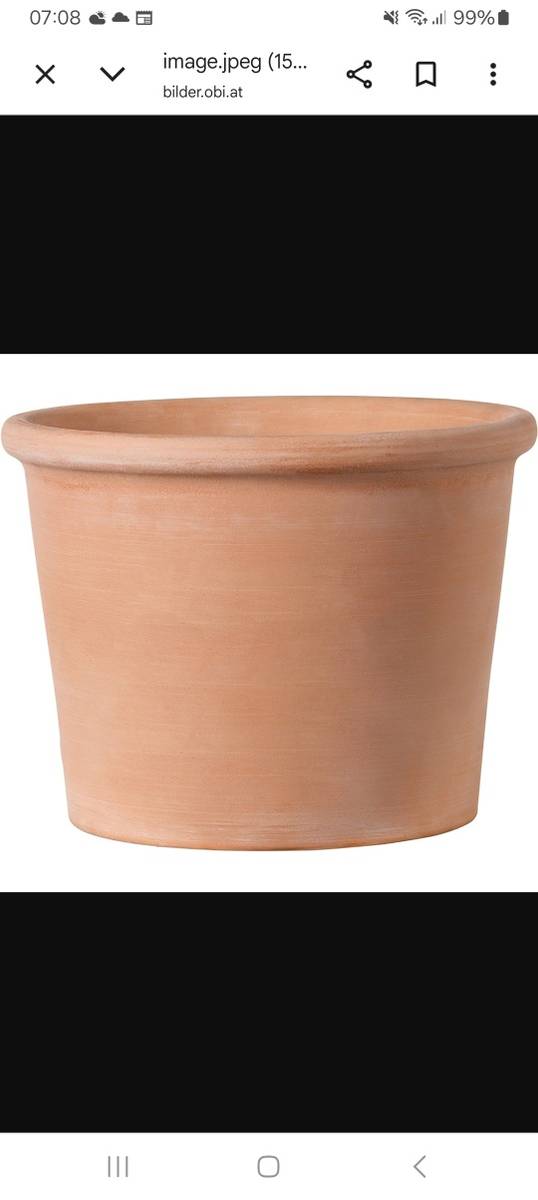 Terracotta topf,  0,- (6020 Innsbruck) - willhaben
