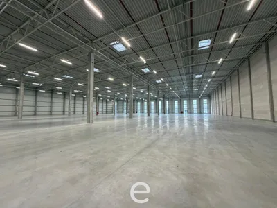 Gewerbeimmobilie mieten in Linz Land – 7 695 m² – Bild 6 von 7