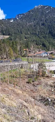 Grundstück kaufen in Schwaz – 1 194 m², € 1.234 – Bild 4 von 4