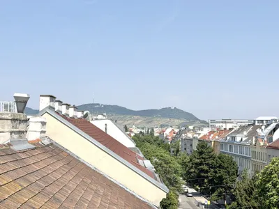 Terrassentraum mit Blick auf den Kahlenberg - 2-Zimmer-Mietwohnung in Top-Lage zwischen U1 Vorgartenstraße & U6 Handelskai – Bild 2