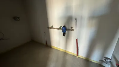 5-Zimmer-Haus kaufen in Urfahr-Umgebung – 138 m², € 550.000 – Bild 13 von 20