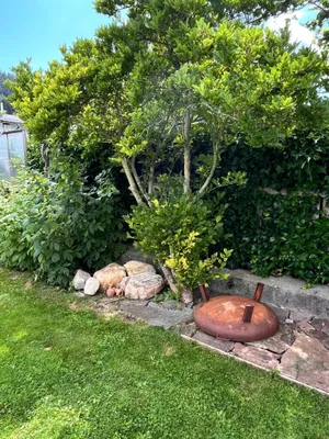 6-Zimmer-Gewerbeimmobilie kaufen in Bruck-Mürzzuschlag – 200 m², € 395.000 – Bild 34 von 66