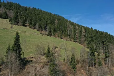 Grundstück kaufen in Feldkirchen – 270 000 m² – Bild 7 von 18