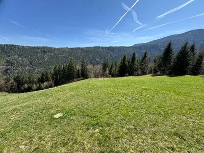 Grundstück kaufen in Feldkirchen – 270 000 m² – Bild 6 von 18