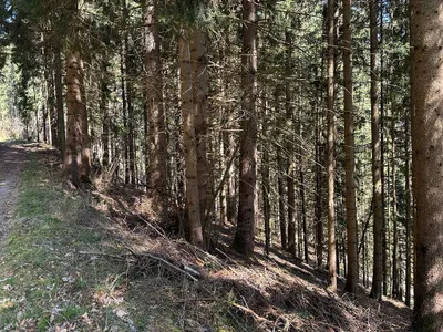 Grundstück kaufen in Feldkirchen – 270 000 m² – Bild 17 von 18