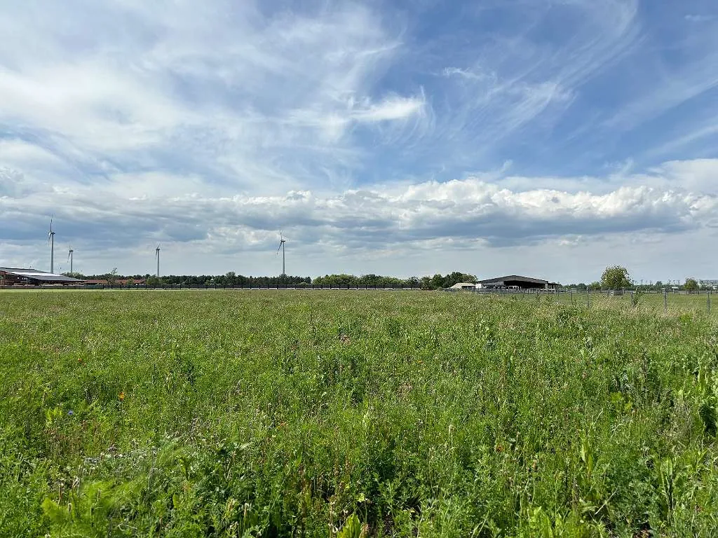 Landwirtschaftliches Grundstück / Bauhoffnungsland für Anleger-Investoren-Landwirte - Ansicht 3
