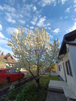 Haus kaufen in Eisenstadt - Umgebung – 73 m², € 130.000 – Bild 31 von 43