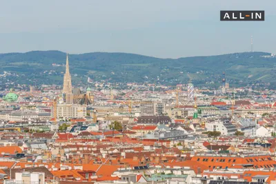 1-Zimmer-Wohnung mieten in Wien – 31 m², € 1.299 – Bild 17 von 19