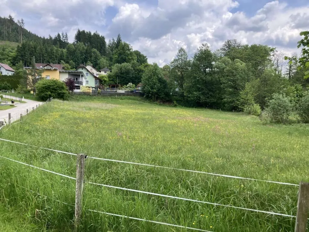 BAULAND DORFGEBIET! TRAUMHAFTES BAUGRUNDSTÜCK IN ST. GEORGEN AM LÄNGSEE - Ansicht 2