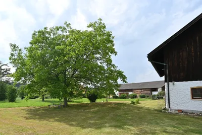 8-Zimmer-Haus kaufen in Braunau am Inn – 460 m², € 750.000 – Bild 20 von 20
