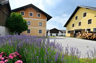 8-Zimmer-Haus kaufen in Braunau am Inn – 460 m², € 750.000 – Bild 2 von 20