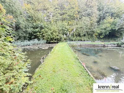 Immobilie kaufen in Linz Land – 2 861 m², € 98.000 – Bild 3 von 4