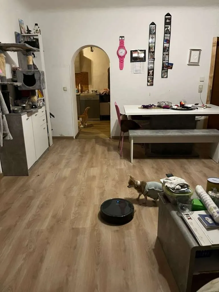 Wohnung – Bad Ischl, Steinbruch - Ansicht 3