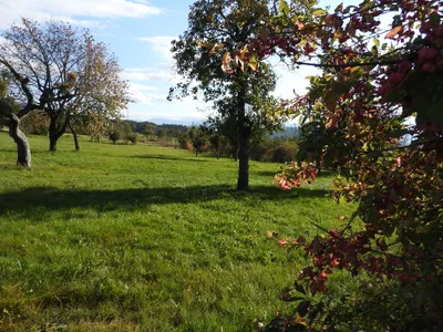 Grundstück kaufen in Wolfsberg – 16 028 m², € 210.000 – Bild 2 von 2