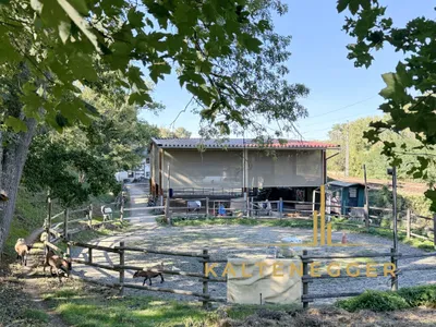 Grundstück kaufen in Tulln – 17 223 m², € 450.000 – Bild 6 von 53