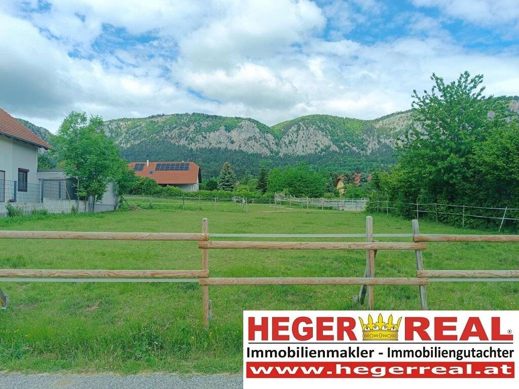 sonniger BAUGRUND am FUßE der HOHEN WAND - NATUR pur - Ansicht 2