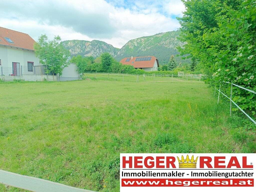 sonniger BAUGRUND am FUßE der HOHEN WAND - NATUR pur - Ansicht 3