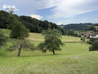 Grundstück kaufen in Südoststeiermark – 1 205 m², € 98.260 – Bild 5 von 7