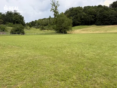 Grundstück kaufen in Südoststeiermark – 1 205 m², € 98.260 – Bild 3 von 7