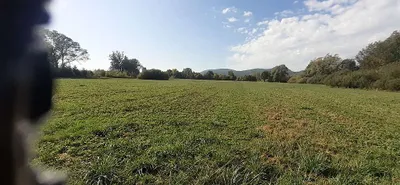 Grundstück kaufen in Neunkirchen – 800 m², € 15.600 – Bild 7 von 8