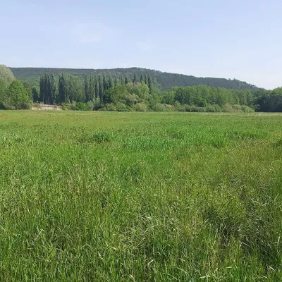 Grundstück kaufen in Neunkirchen – 800 m², € 15.600 – Bild 3 von 8