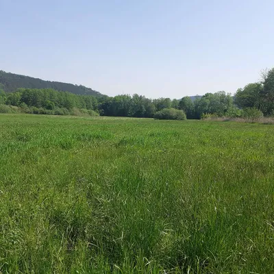 Grundstück kaufen in Neunkirchen – 800 m², € 15.600 – Bild 2 von 8