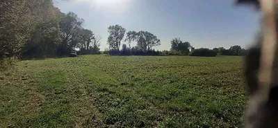 Grundstück kaufen in Neunkirchen – 800 m², € 15.600 – Bild 6 von 8