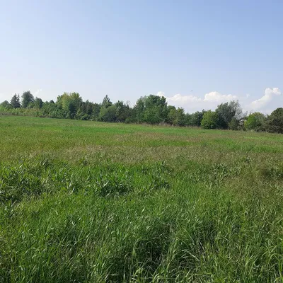 Grundstück kaufen in Neunkirchen – 800 m², € 15.600 – Bild 4 von 8