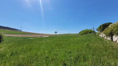 Grundstück kaufen in Sankt Pölten Land – 880 m², € 140.000 – Bild 5 von 7