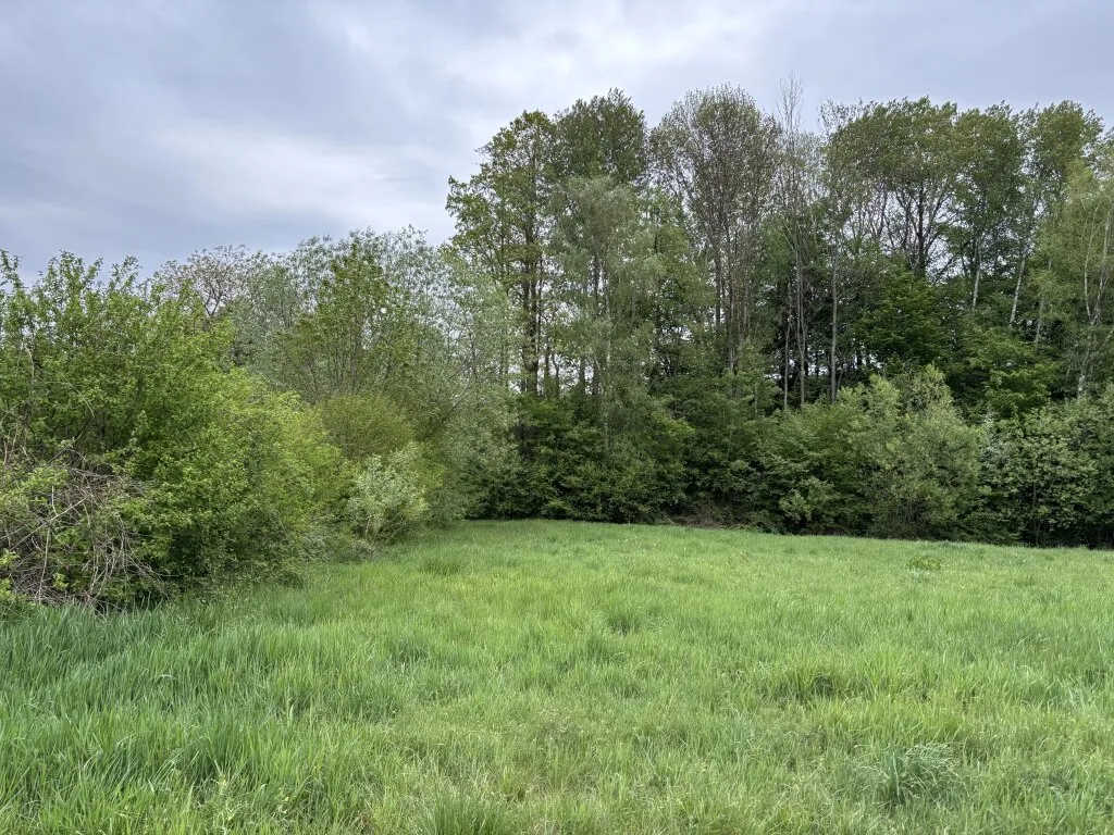 Schönes Wiesen-Wald-Grundstück - Ansicht 2