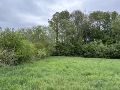 Immobilie kaufen in Oberwart – 8 173 m², € 27.000 – Bild 2 von 5