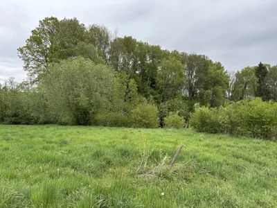 Immobilie kaufen in Oberwart – 8 173 m², € 27.000 – Bild 4 von 5