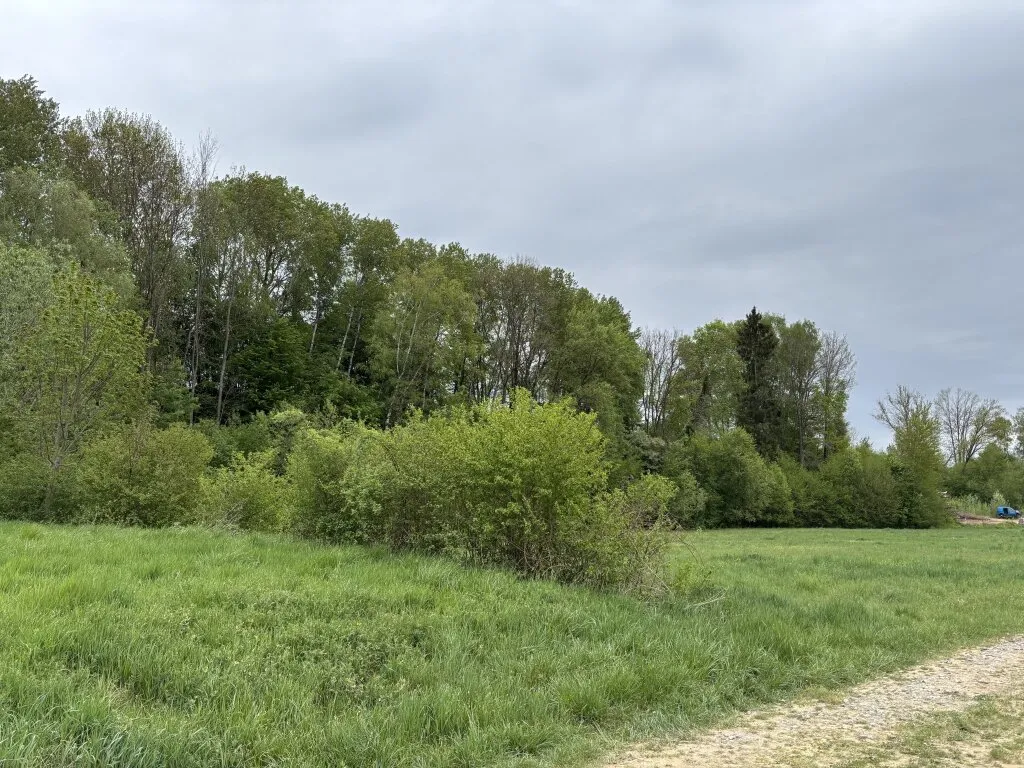 Schönes Wiesen-Wald-Grundstück - Ansicht 3