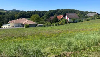 Grundstück kaufen in Leibnitz – 1 005 m², € 165 – Bild 2 von 7