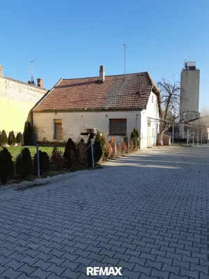 Grundstück kaufen in Neusiedl am See – 2 426 m², € 995.000 – Bild 3 von 9