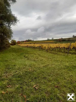 Grundstück kaufen in Krems Land – 9 483 m², € 47.415 – Bild 3 von 5