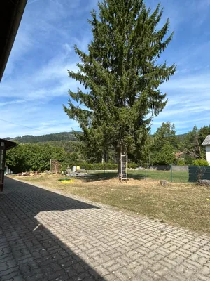 Gewerbeimmobilie mieten in Lilienfeld – 136 m², € 1.200 – Bild 13 von 13
