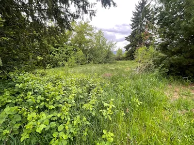 Grundstück kaufen in Murtal – 2 953 m², € 495.000 – Bild 7 von 15