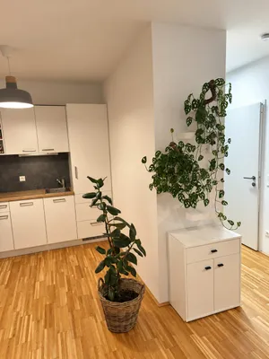 2-Zimmer-Wohnung mieten in Wien – 36 m², € 791 – Bild 2 von 11