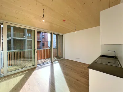Neubau in Massivholzbauweise – Bild 3