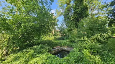 Immobilie kaufen in Wels-Land – 210 m², € 749.000 – Bild 5 von 20