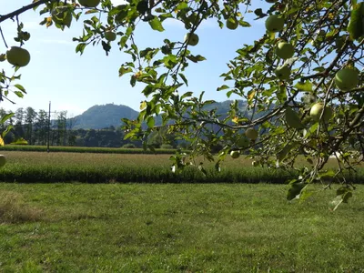 Grundstück kaufen in Wolfsberg – 14 475 m² – Bild 2 von 2