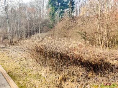 Grundstück kaufen in Murtal – 3 623 m², € 315.000 – Bild 7 von 7