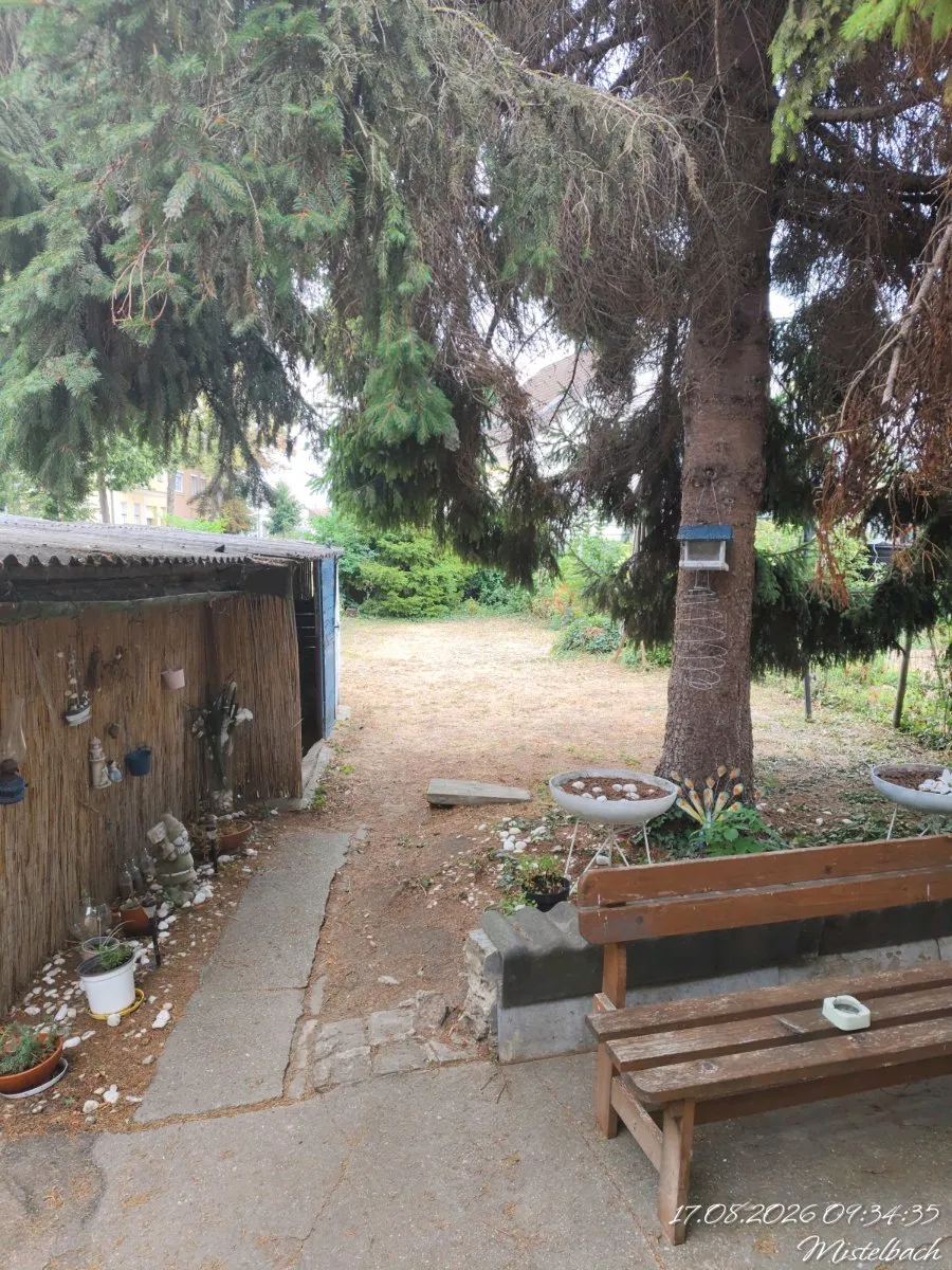 Wohnung – Wolkersdorf im Weinviertel, Katastralgemeinde Wolkersdorf - Ansicht 3