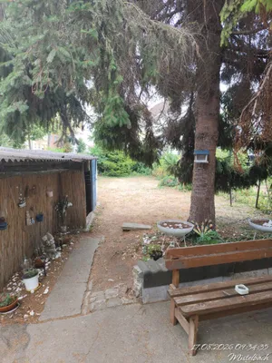 2-Zimmer-Wohnung mieten in Mistelbach – 60 m², € 700 – Bild 3 von 10